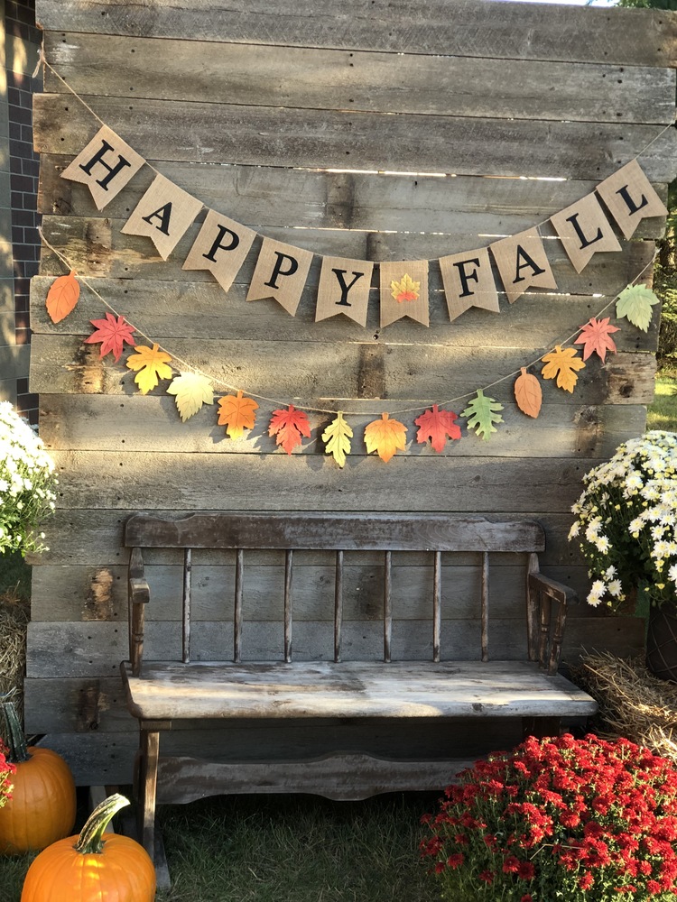 Photo Bench and Fall Backdrop