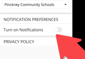 Notification Preferences