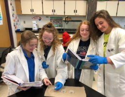 Feb. 20th PCHS Updates