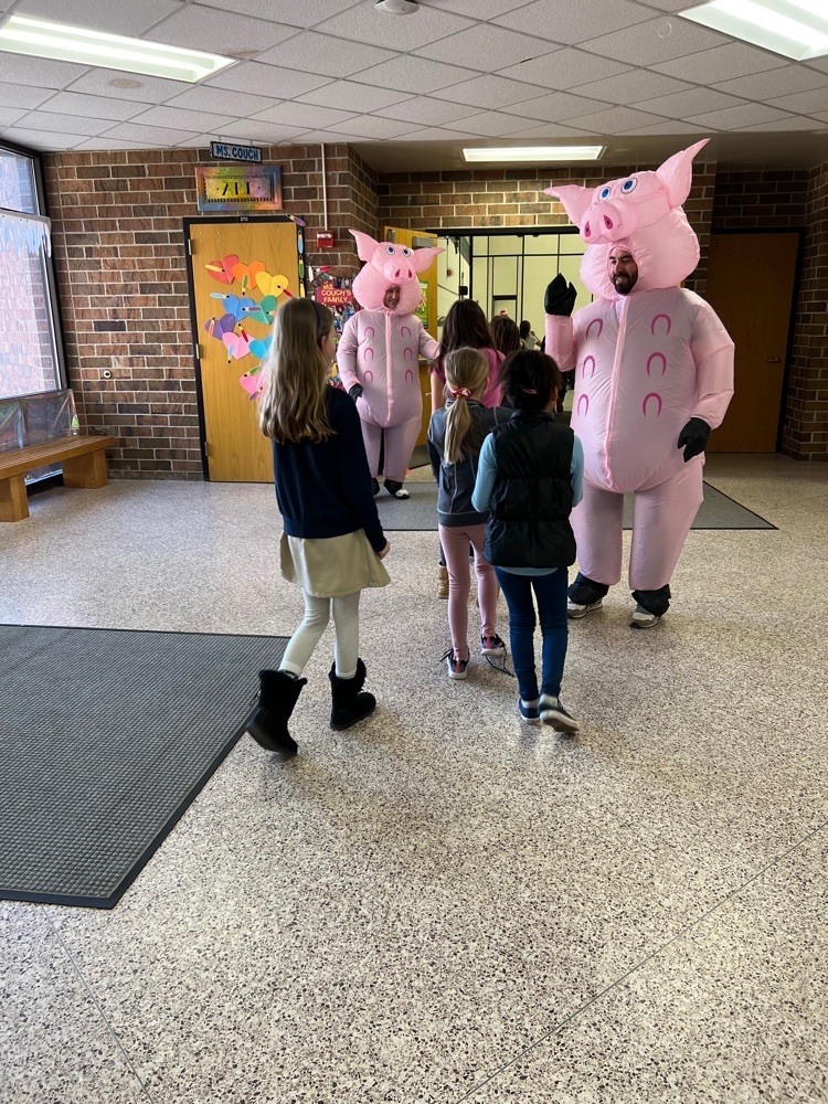 Friendly pigs greet students on the way to the skit.